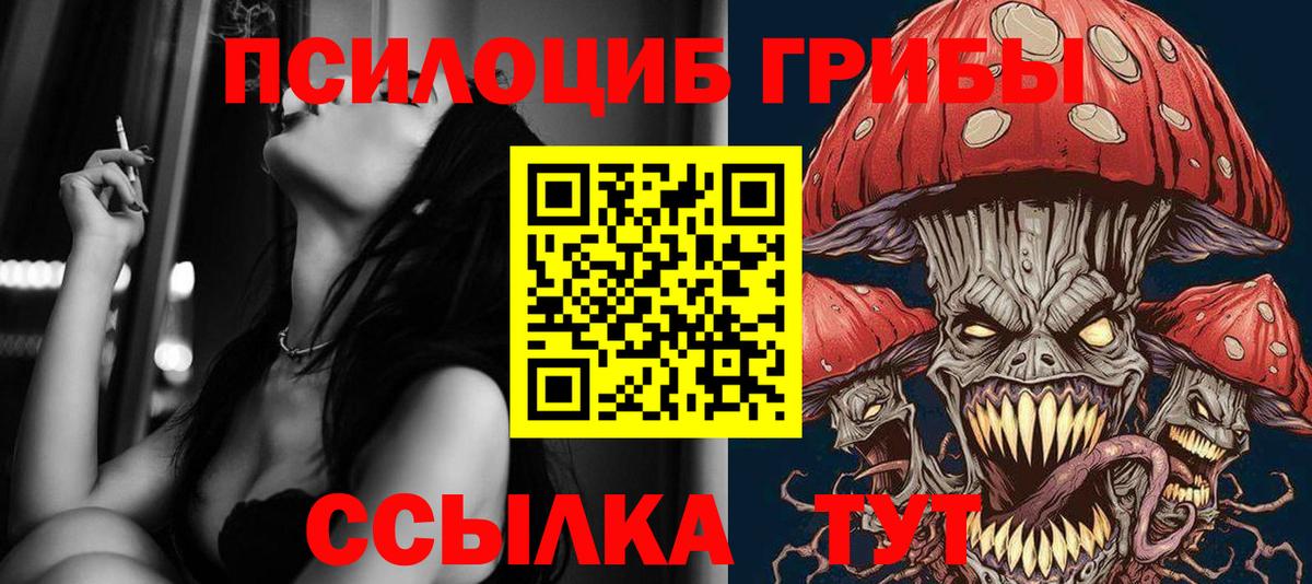 Галлюциногенные грибы прущие грибы  Вход с VPN  Галлюциногенные грибы Psilocybine cubensis  Шелехов 